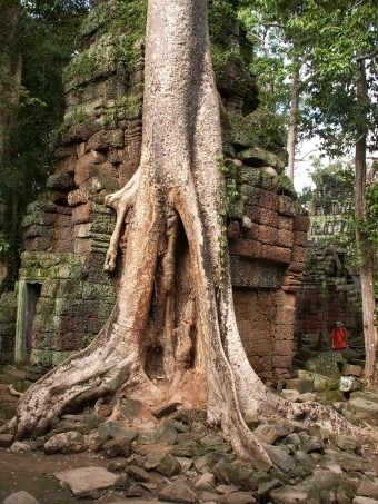 Kambodza & Laos 256 (1)