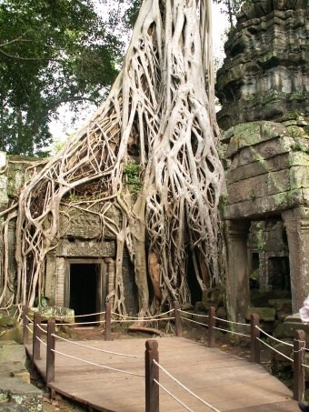 Kambodza & Laos 271 (1)
