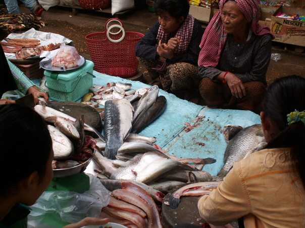 Kambodza & Laos 321 (1)
