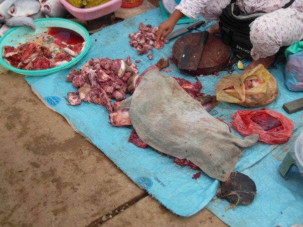 Kambodza & Laos 323 (1)