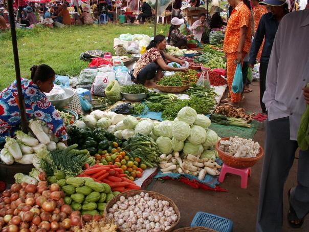 Kambodza & Laos 331 (1)