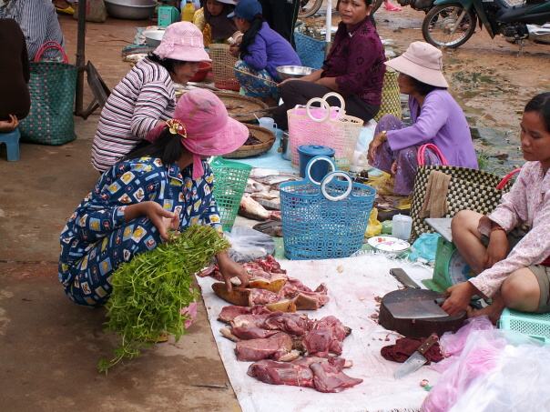 Kambodza & Laos 334 (1)