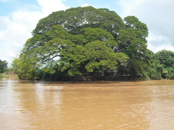 Kambodza & Laos 349 (1)