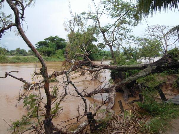 Kambodza & Laos 353 (1)