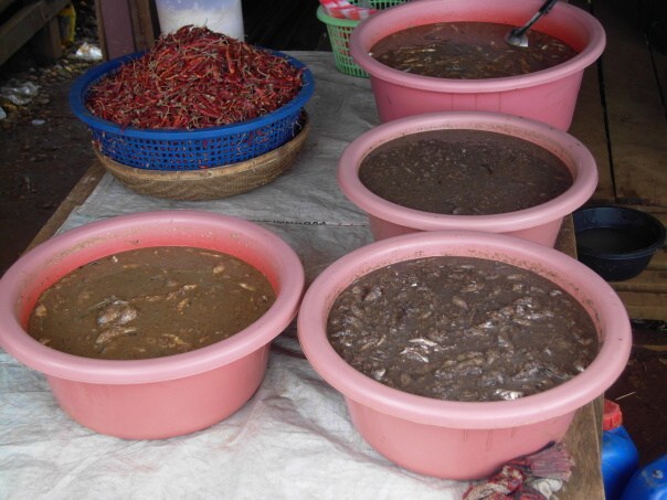 Kambodza & Laos 423 (1)