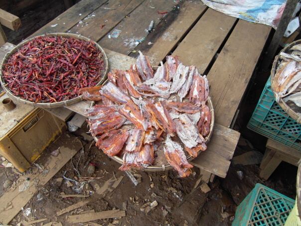 Kambodza & Laos 427 (1)