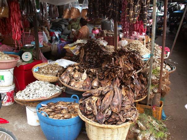 Kambodza & Laos 476 (1)