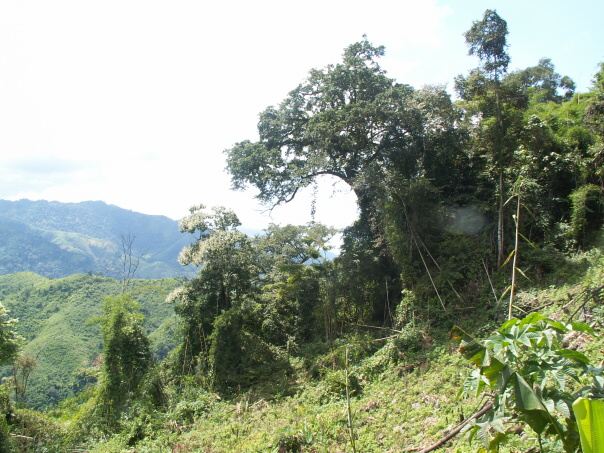 Kambodza & Laos 629 (1)