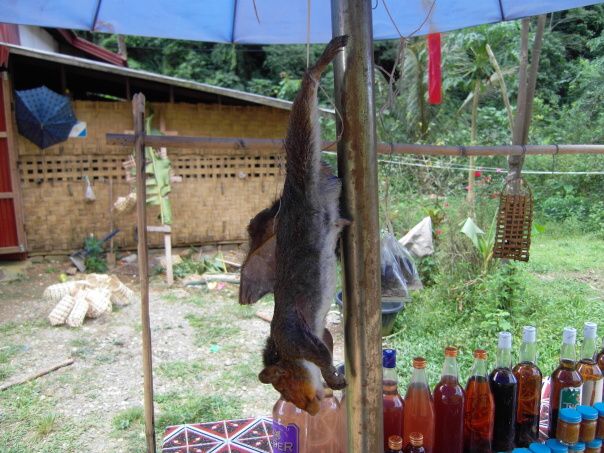 Kambodza & Laos 637 (1)