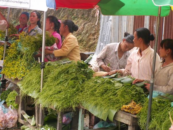 Kambodza & Laos 661 (1)