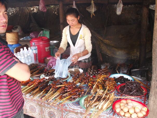Kambodza & Laos 662 (1)