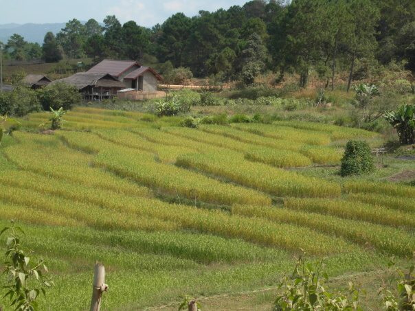 Kambodza & Laos 696 (1)
