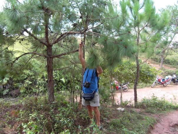Kambodza & Laos 698 (1)