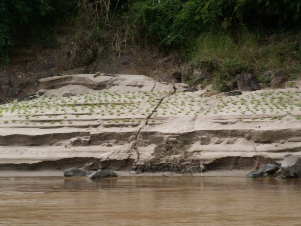 Kambodza & Laos 892 (1)