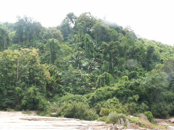 Kambodza & Laos 895 (1)
