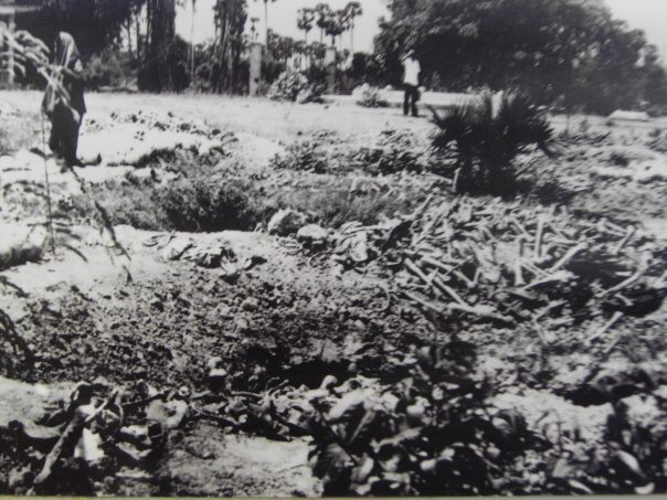 Kambodza & Laos 123 (1)