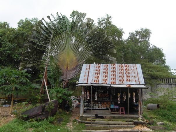Kambodza & Laos 187 (1)